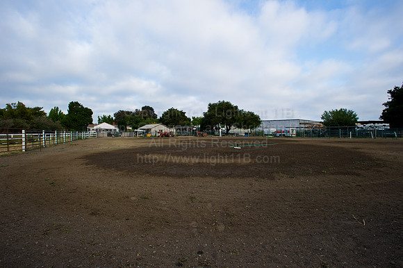 CGP_5135
